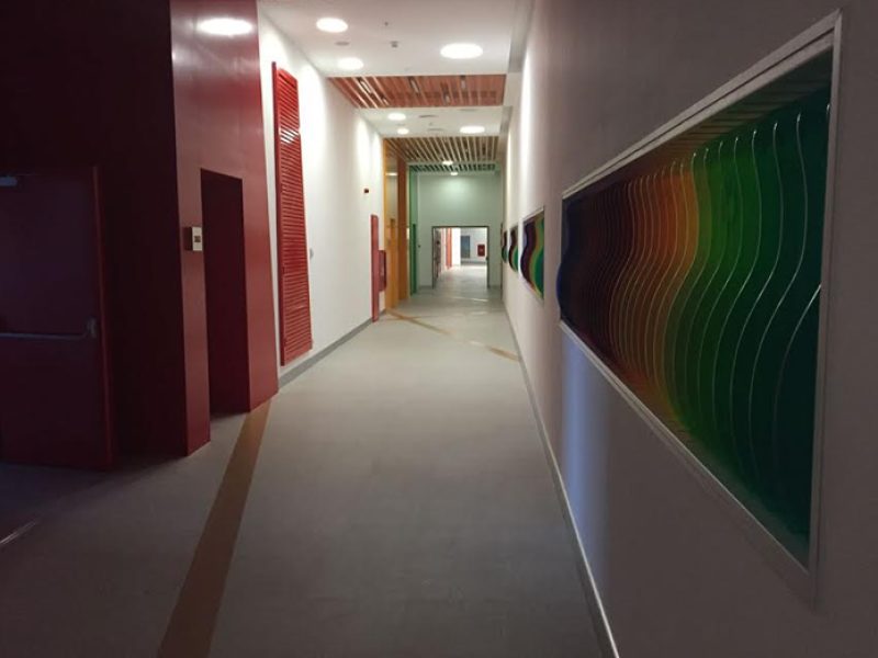 Olimpiyat-Yuzme-Kompleksi-Projesi_02